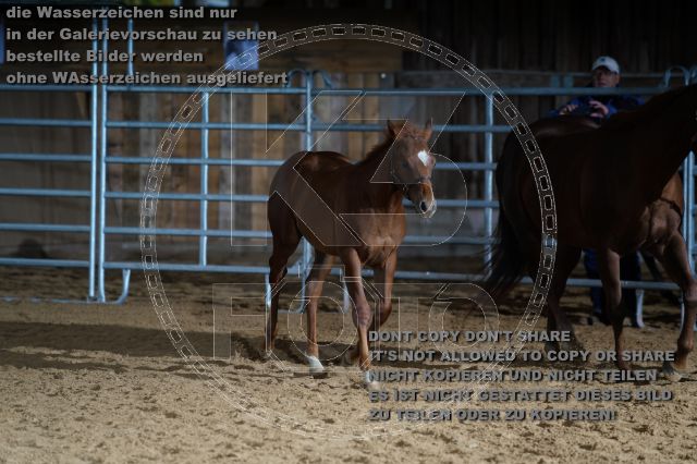 s_K3F04643.JPG